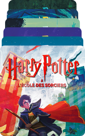 Harry Potter : la collection compl¨¨te